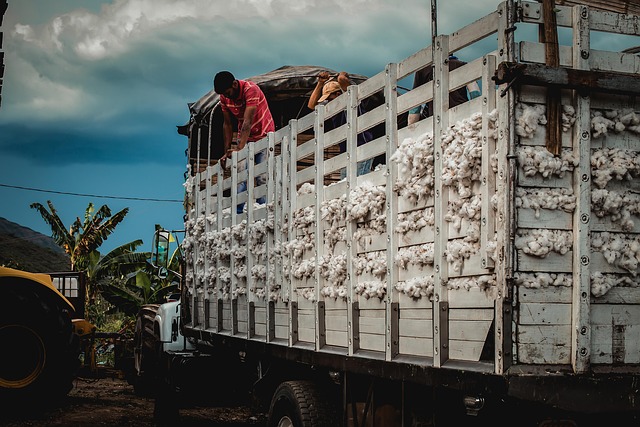 Free Load Truck photo and picture