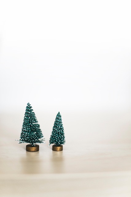 Free Christmas Christmas Trees photo and picture