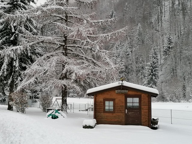 Free Schnee Winter photo and picture