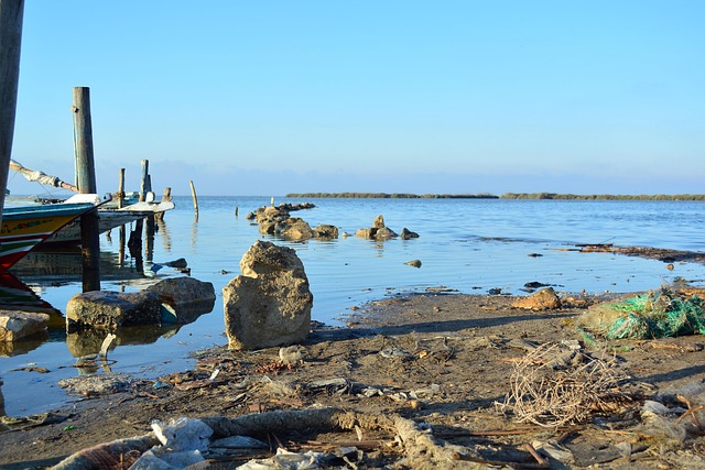 Free Egypt Brolos Lake photo and picture
