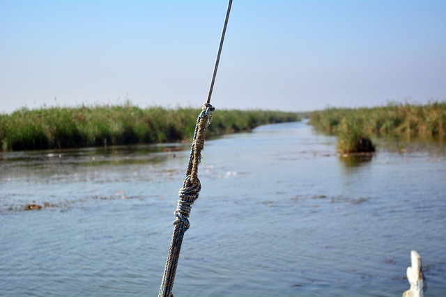Free Rope Wood photo and picture