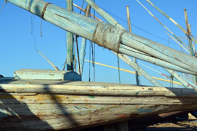 Free Woods Boat photo and picture