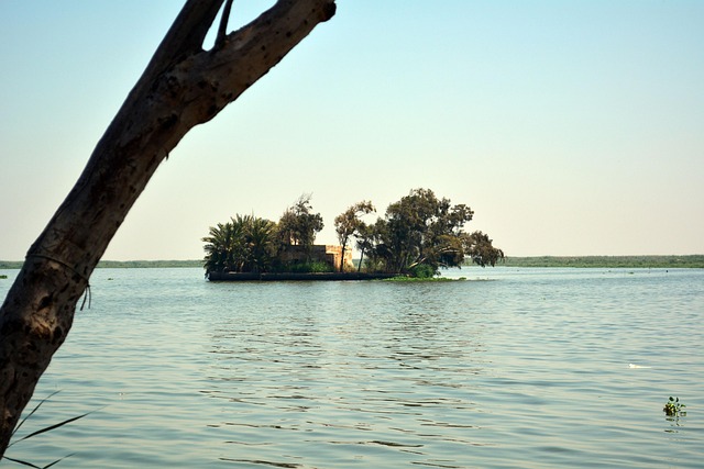 Free Egypt Brolos Lake photo and picture
