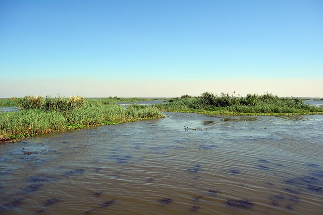 Free Egypt Brolos Lake photo and picture