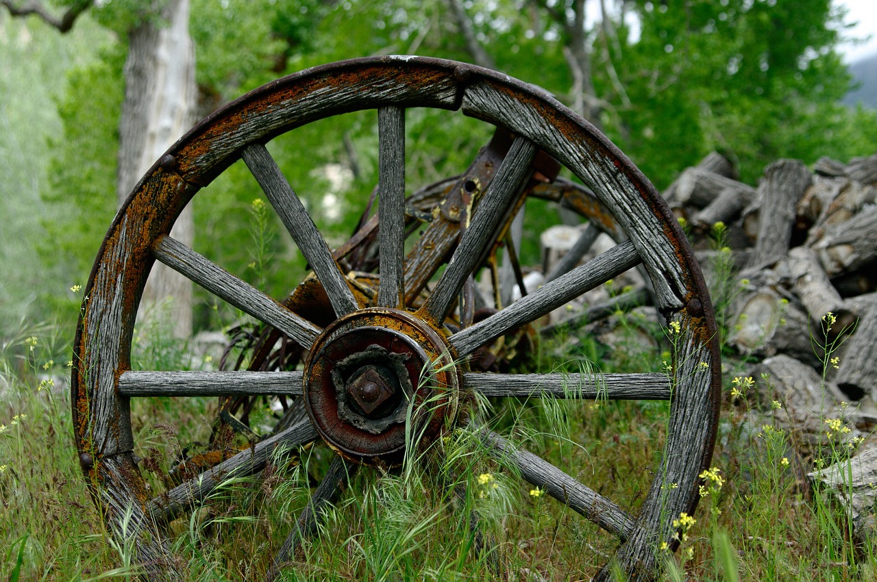 Cart - free online jigsaw puzzle photo