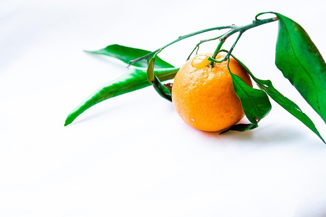 Free Mandarin Mandarins photo and picture