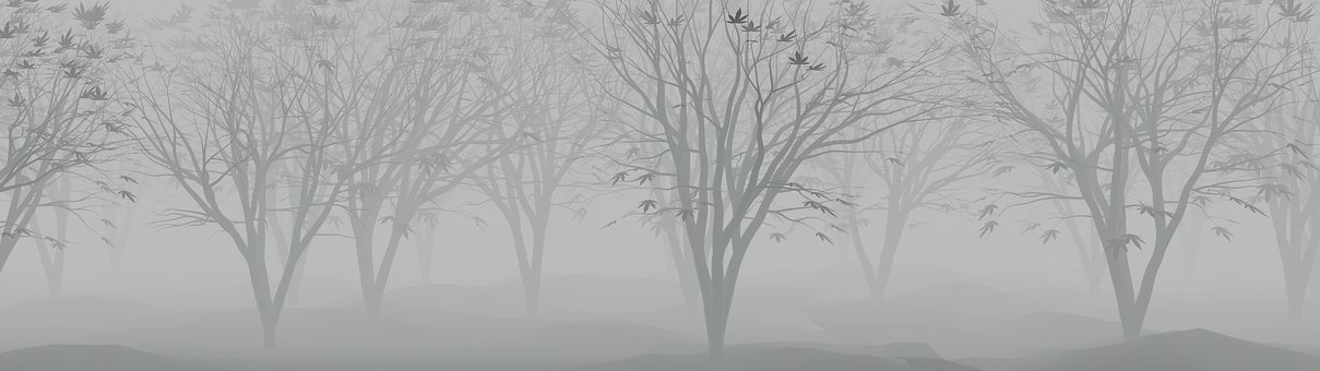 Free Forrest Tree illustration and picture