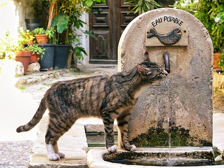 Free Summer France photo and picture