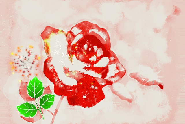 Frostige Rote Rose, Rose, Blume, Vereist