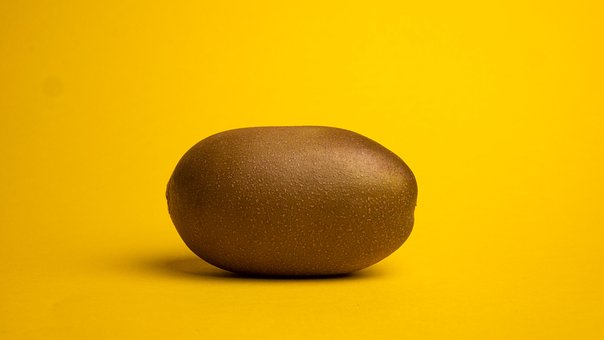 Free Kiwi Fruit photo and picture
