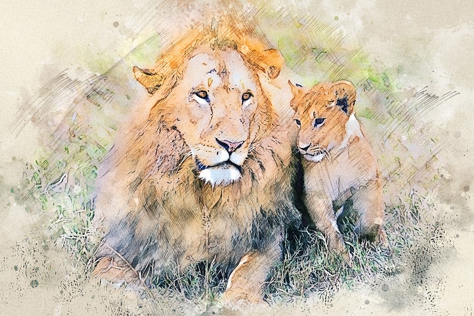 Download Lion, Cub, Feline. Royalty-Free Stock Illustration Image - Pixabay