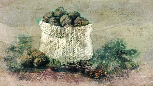 Free walnuts nuts bag illustration
