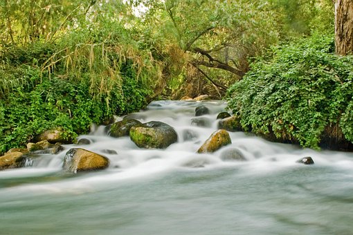 Râu, Copaci, Pădure, Pârâu, Actual
