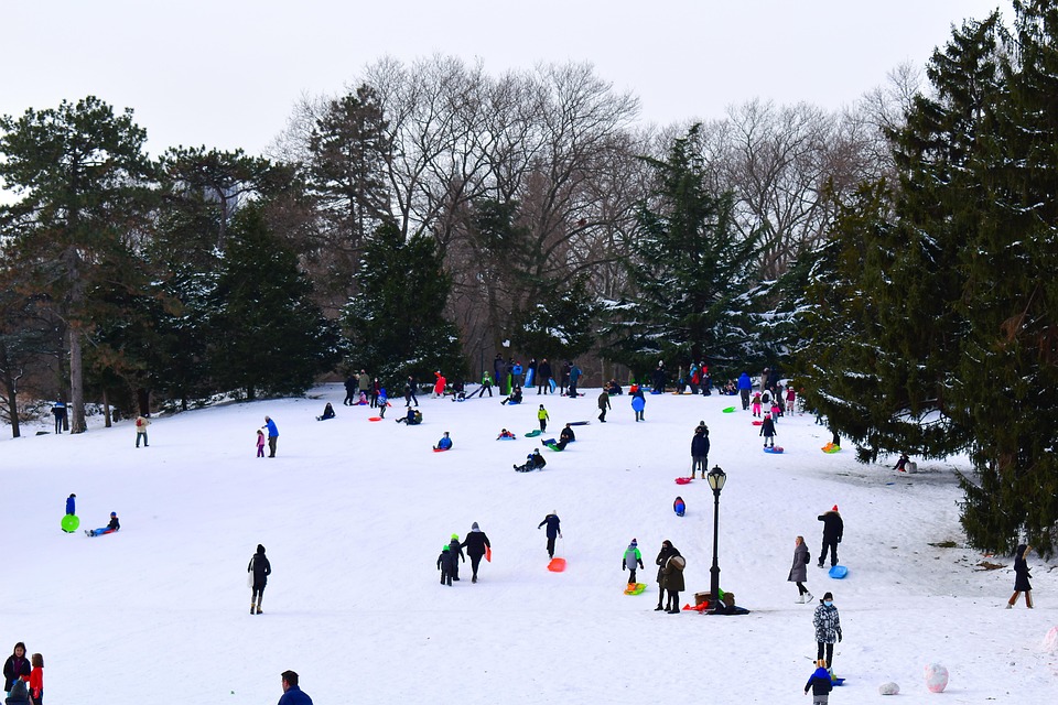 Parque Central Nova York Neve Foto gratuita no Pixabay Pixabay