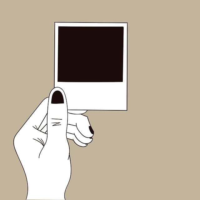 Free photography photograph picture illustration