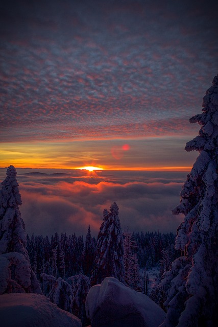 Free Snow Winter Landscape photo and picture