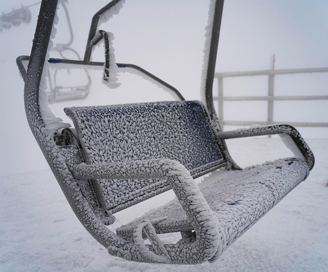 Free Winter Cold photo and picture