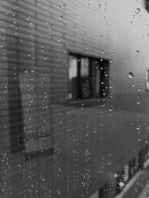 Free Window Rain photo and picture