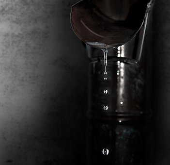 Free Rain Raindrop photo and picture