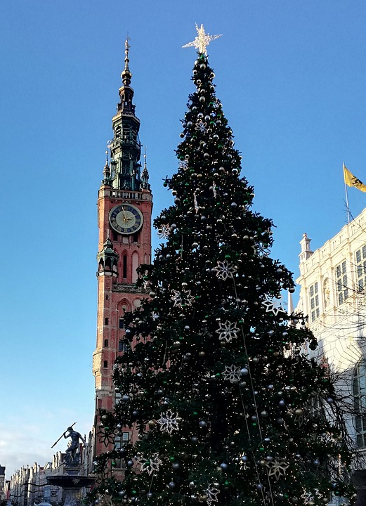 Christmas Tree City Hall Free photo on Pixabay Pixabay