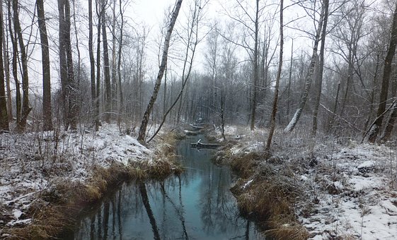 Winterwald, Winter, Winterlandschaft
