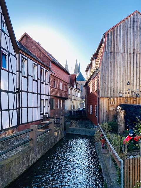 Free Alley Bach photo and picture