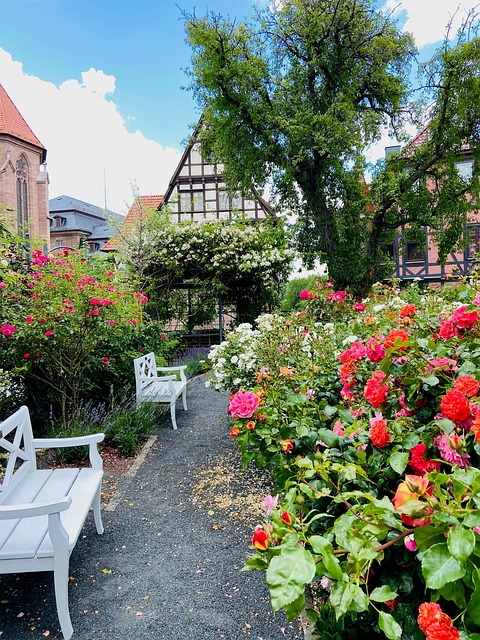 Free Holy City Thuringia photo and picture