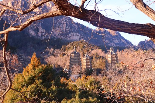 Free Pagoda Beijing photo and picture