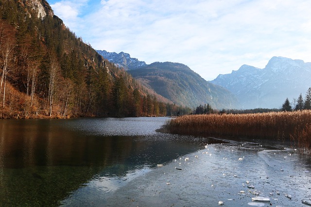 See, Berge, Bank, Bäume, Schilf, Wasser