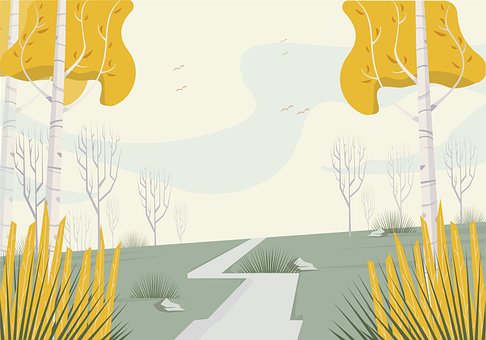 Free Path Trees photo and picture