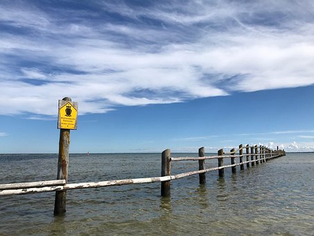 Free Ocean Sea photo and picture