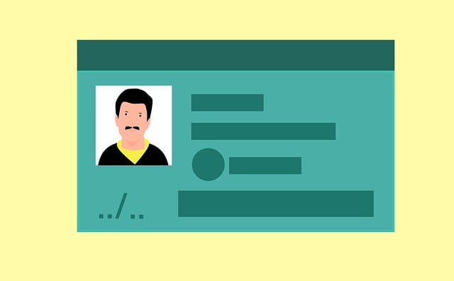 Free business id driving license illustration