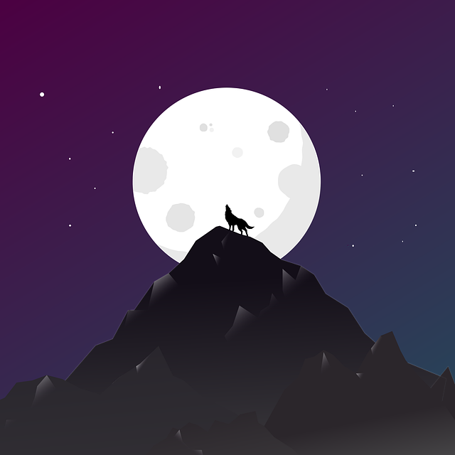 Free wolf mountain sky illustration