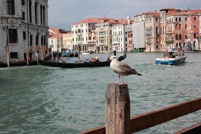 Free Architecture Venice photo and picture
