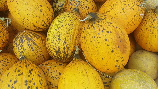 Free Fruit Market photo and picture