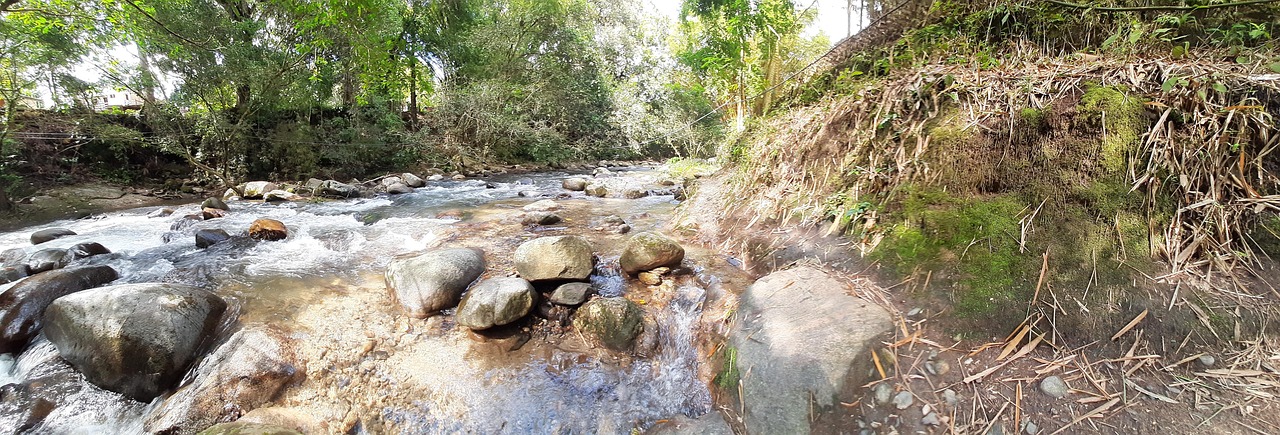 Panoramic River - Free photo on Pixabay - Pixabay