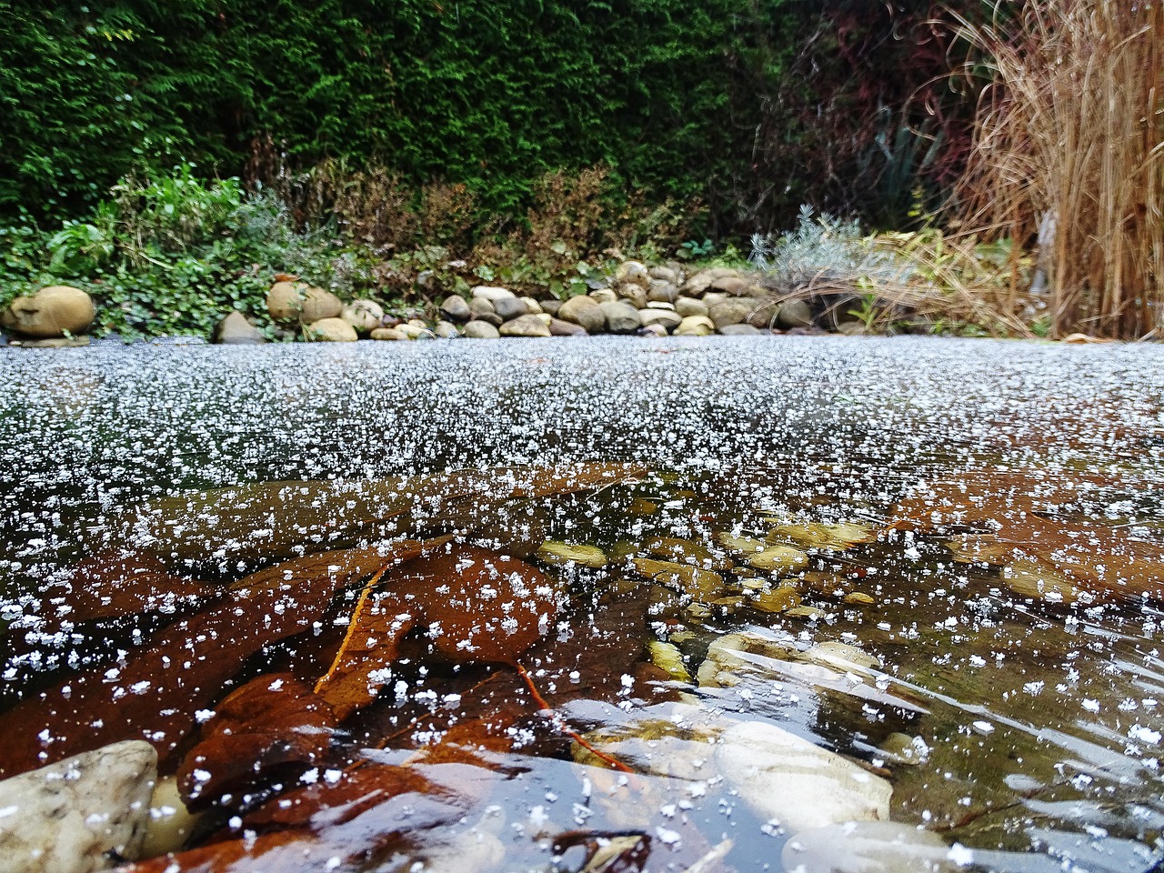 Invierno Teich Foto gratis en Pixabay Pixabay