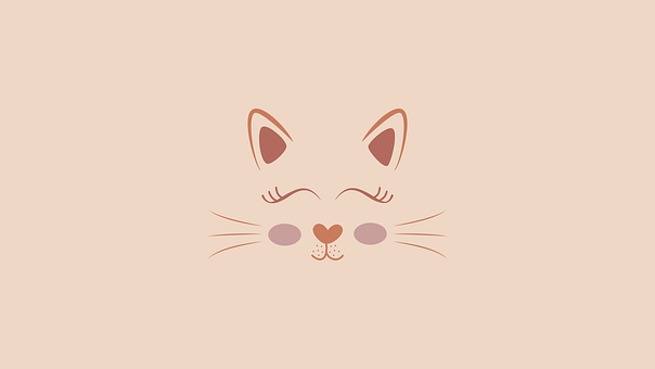 Gato, Gatinho, Desenho Animado