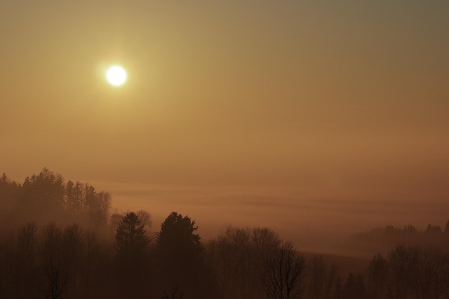 Sonnenuntergang, Wald, Nebel, Sonne