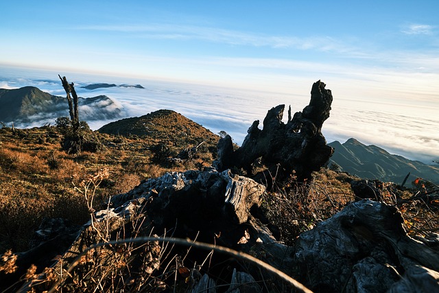 Montaña, Árbol, Bosque, Colina, Nieve
