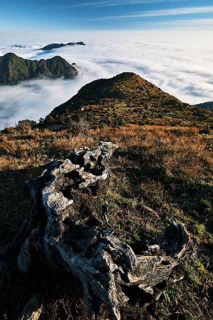 Montaña, Árbol, Nubes