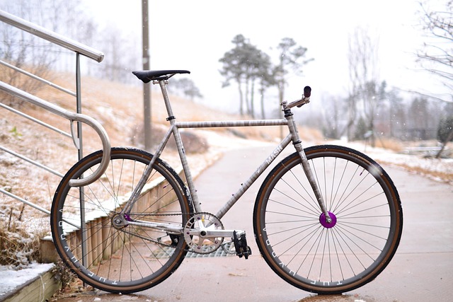 Free Bike Fixie photo and picture