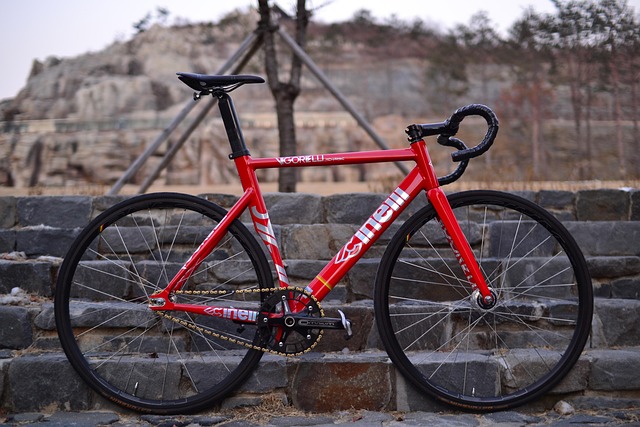 Free Bike Fixie photo and picture