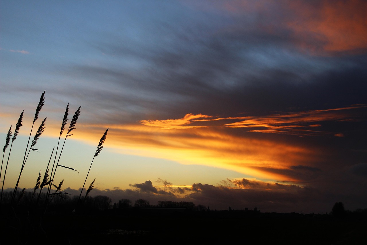 Coucher De Soleil Roseau Nuages - Photo gratuite sur Pixabay - Pixabay