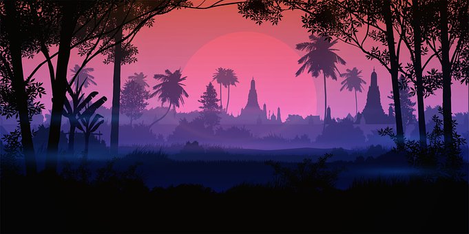 Messung, Nebel, Sonnenuntergang, Bäume