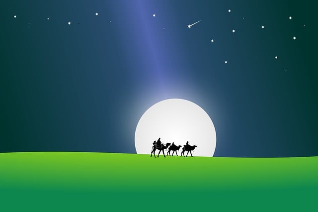 Kamel, Wohnwagen, Nacht, Mond, Mondlicht
