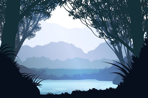 Wald, See, Silhouette, Dämmerung, Nebel