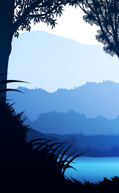 Wald, See, Silhouette, Dämmerung, Nebel