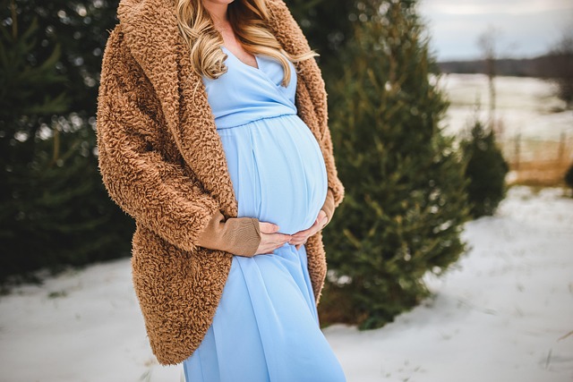 Free Woman Pregnant photo and picture