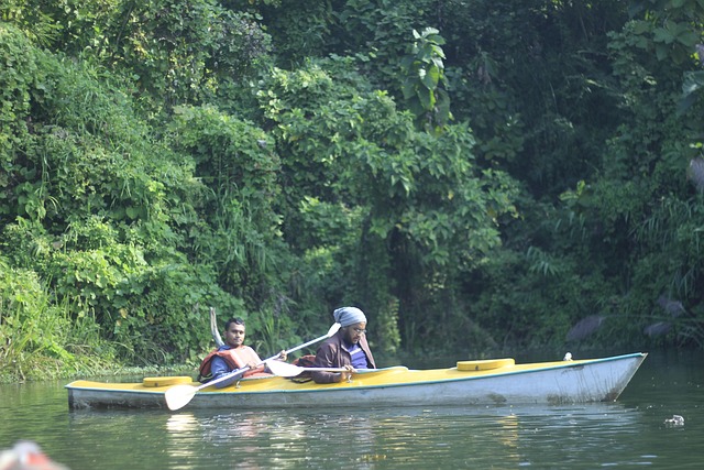 Jongle, Árvore, Agua